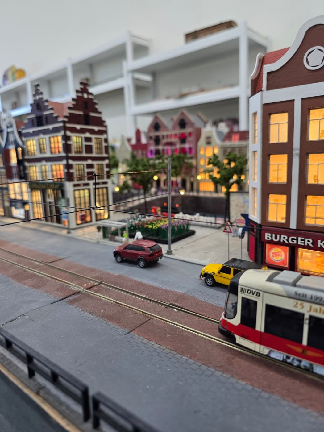 암스테르담 view